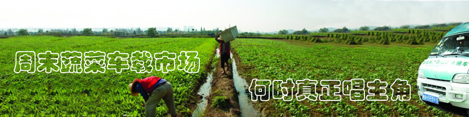 蔬菜直销，周末车载蔬菜市场-何时真正唱主角,中国农业网专题