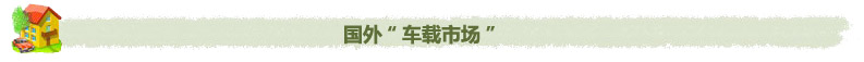 蔬菜直销，周末车载蔬菜市场-何时真正唱主角,中国农业网专题