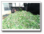 蔬菜直销，周末车载蔬菜市场-何时真正唱主角,中国农业网专题