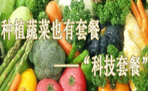 科技创新,科技套餐,蔬菜种植也有套餐——”科技套餐“,中国农业网