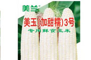 ʳףŴף̴磬̴޹˾йũҵר
