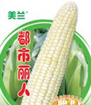 ʳףŴף̴磬̴޹˾йũҵר