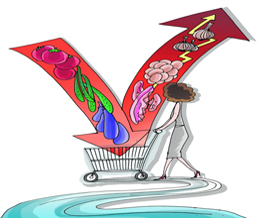 蔬菜直营店,经营分析,蔬菜直营店——风生水起or暗流涌动,中国农业网专题 蔬菜直营店,经营分析,蔬菜直营店——风生水起or暗流涌动,中国农业网专题