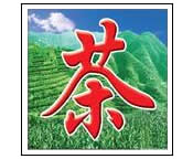 绿茶,绿茶专题,又到绿茶飘香时,中国农业网专题